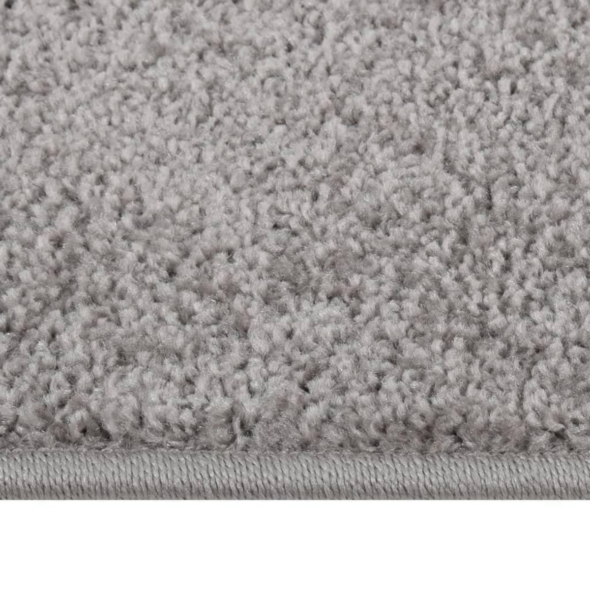 VIDAXL Tapis a poils courts 80x150 cm Gris
