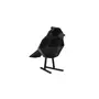 PRESENT TIME Statuette oiseau floqué - H.24cm - Noir