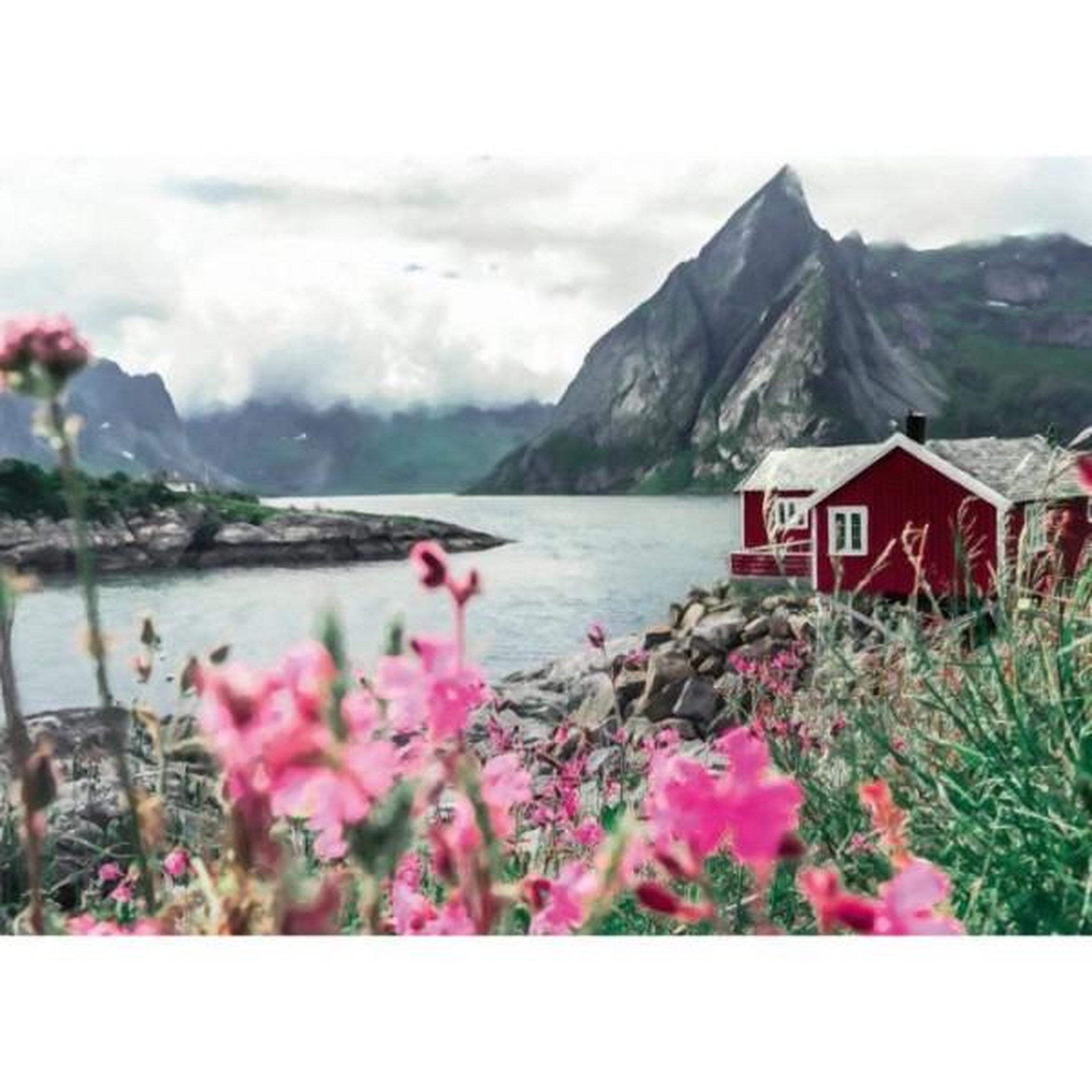 RAVENSBURGER Puzzle 1000 pieces reine, lofoten, norvege (highlights), adultes & enfants, des 14 ans, 12000112, ravensburger