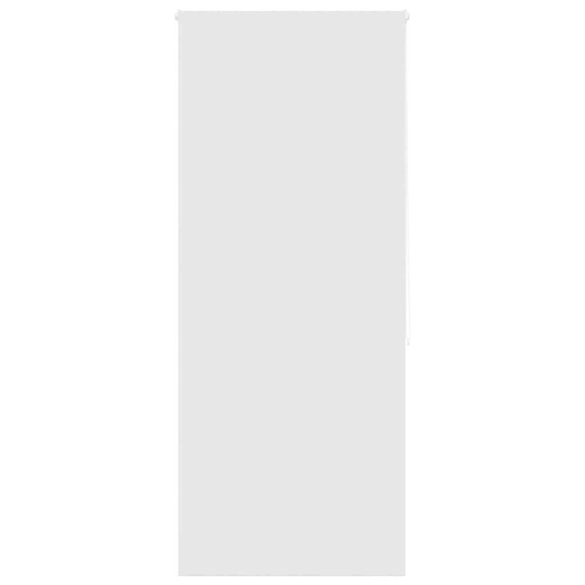 VIDAXL Store enrouleur de douche 110x240 cm largeur du tissu 106 cm