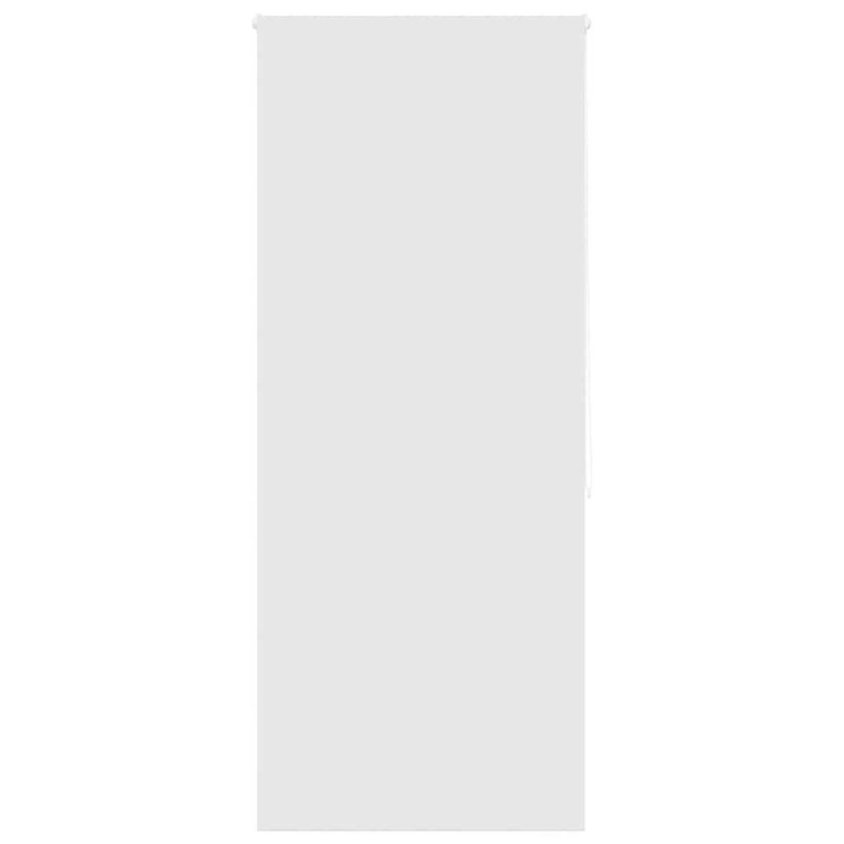 VIDAXL Store enrouleur de douche 110x240 cm largeur du tissu 106 cm