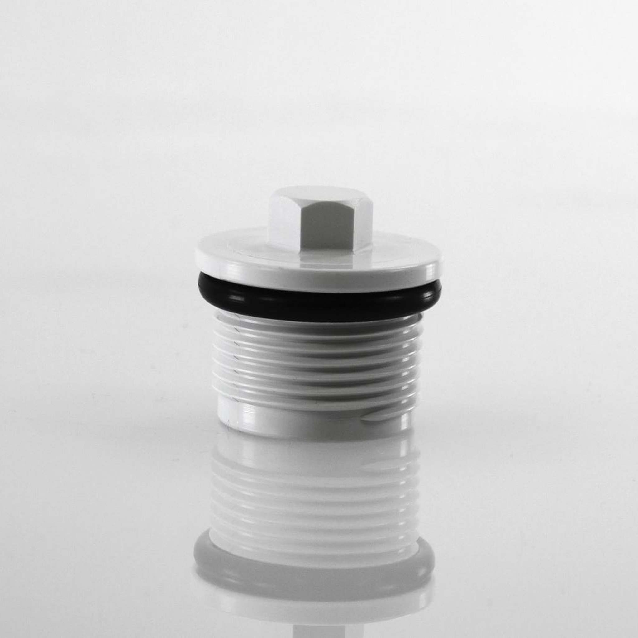 Voir la diapositive 3 : Hayward Bouchon hivernage avec joint (liner) - Hayward
