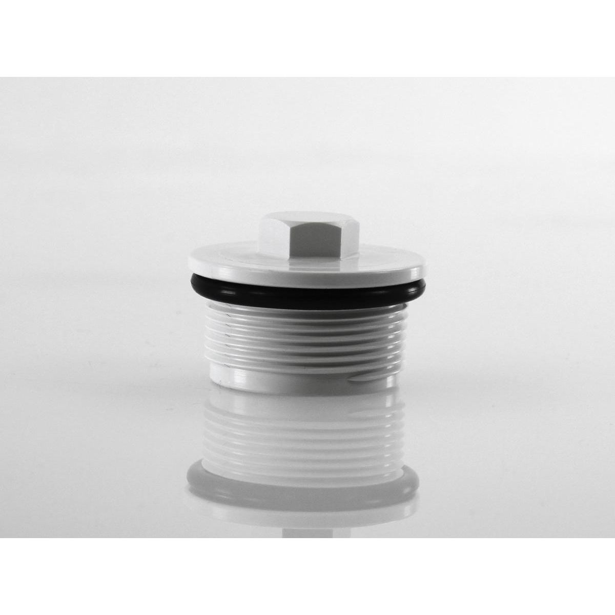 Hayward Bouchon hivernage avec joint (liner) - Hayward