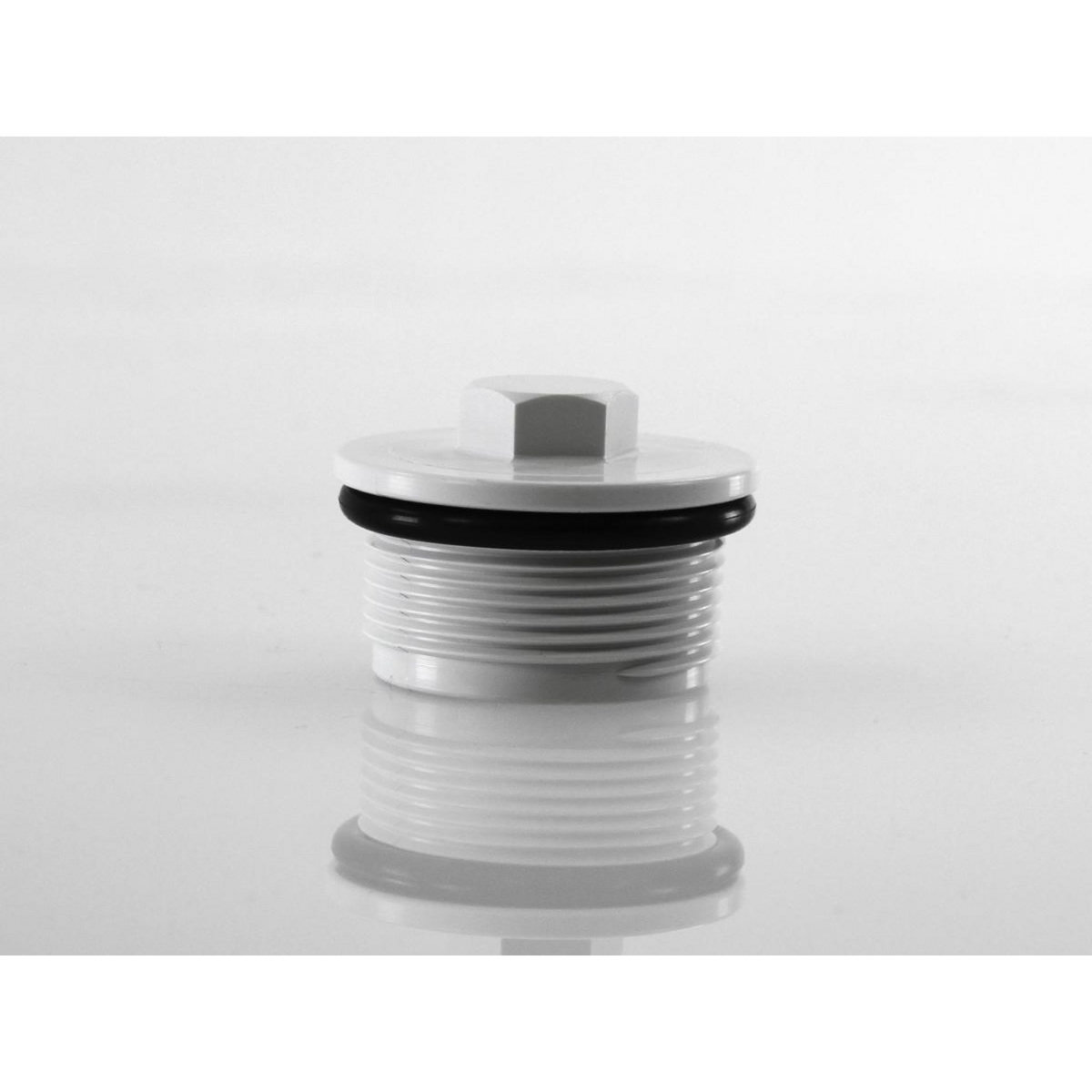 Hayward Bouchon hivernage avec joint (liner) - Hayward