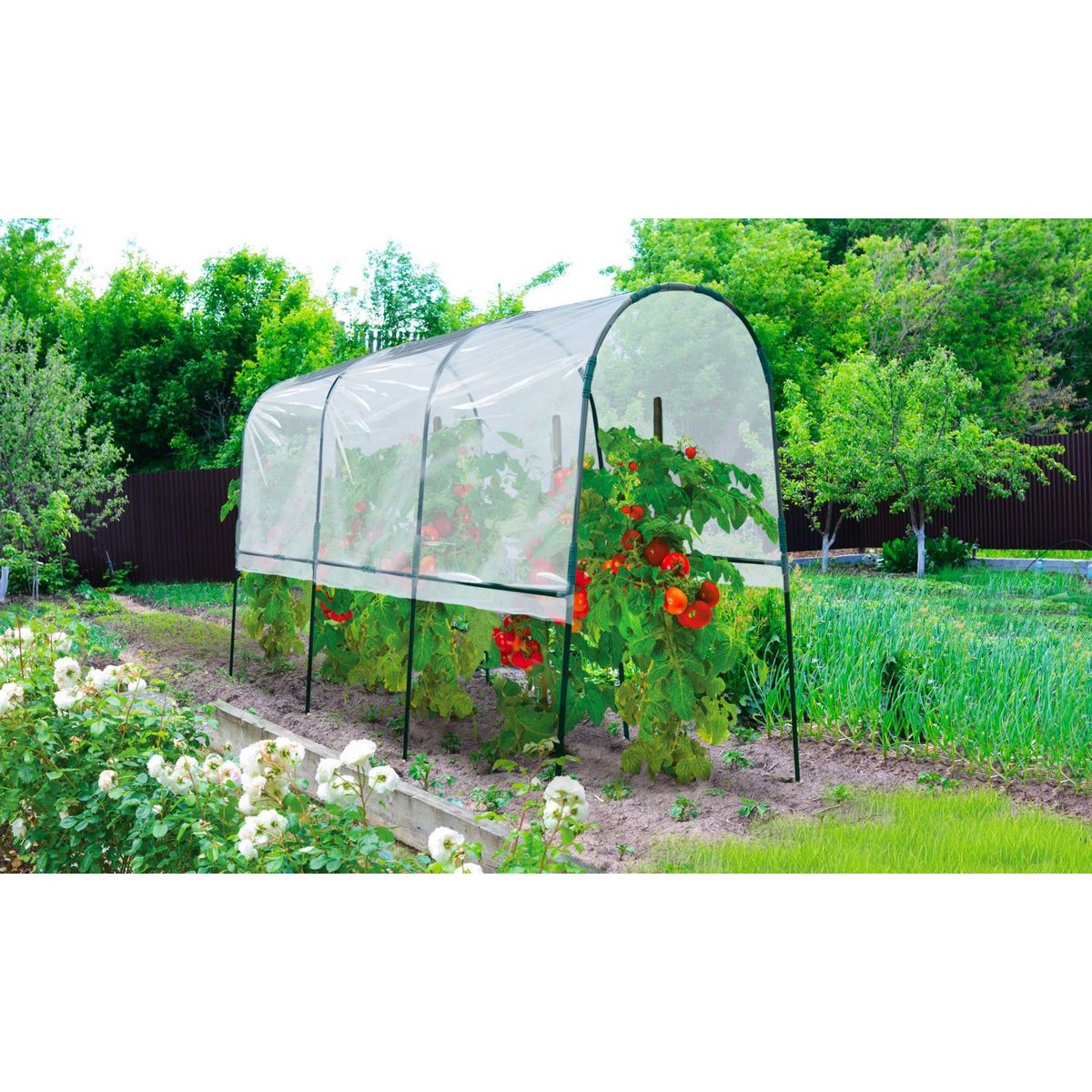 Jardikt Serre à tomates avec bâche - 4,8m²