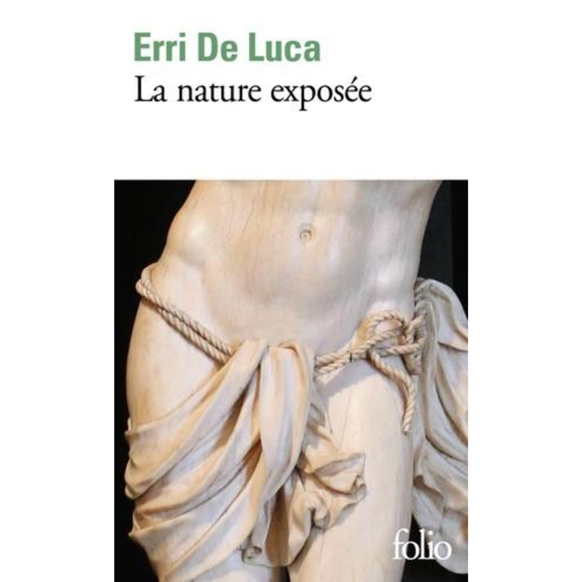 LA NATURE EXPOSEE, De Luca Erri