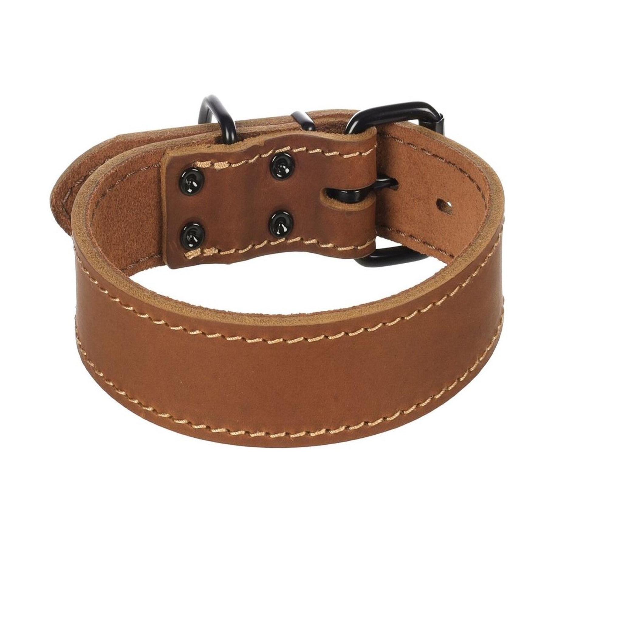 Voir la diapositive 1 : Eden Collier chien montana en cuir