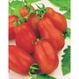 Collection de Tomates - Les 4 sachets / 0.82g chacun / ±990 graines - Willemse