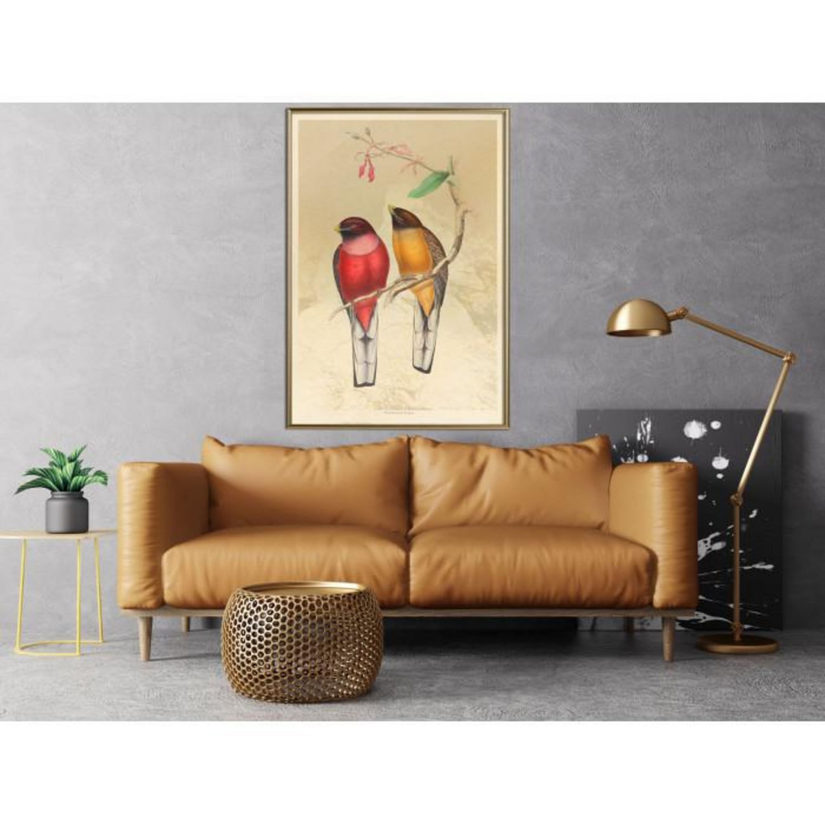 Paris Prix Affiche Murale Encadrée  Ornithologist's Drawings