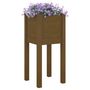 Voir la diapositive 3 : VIDAXL Jardinieres d'exterieur 2 pcs Marron miel 31x31x70cm Pin massif