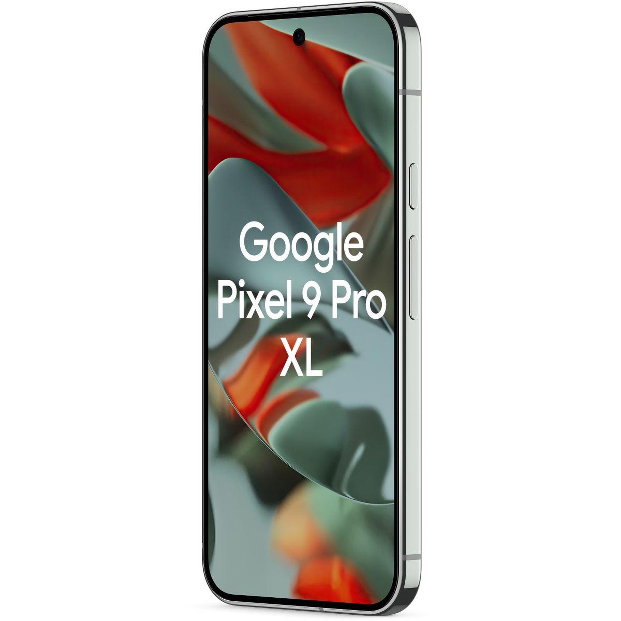 Voir la diapositive 3 : GOOGLE Smartphone Pixel 9 Pro XL Vert Sauge 128Go