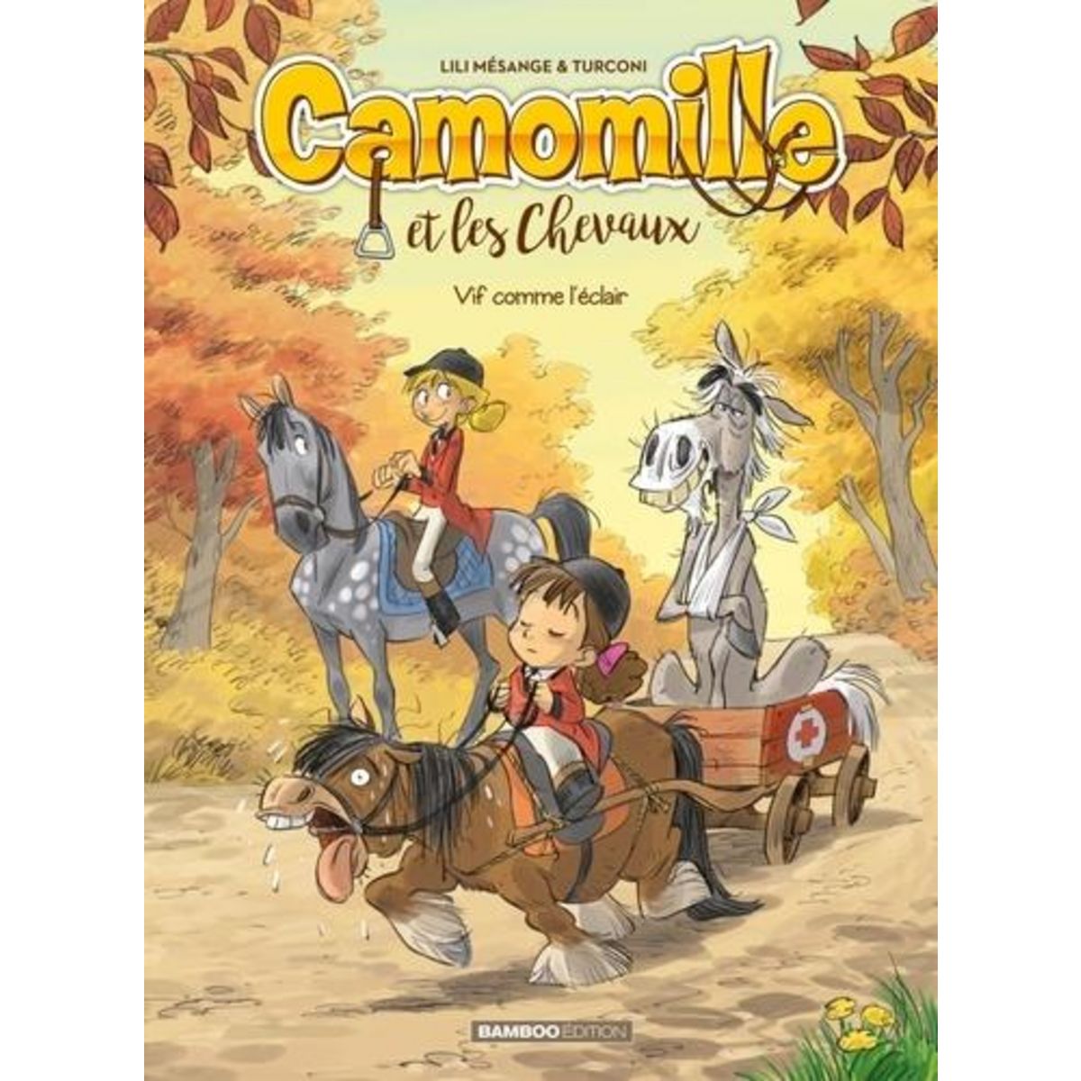 CAMOMILLE ET LES CHEVAUX TOME 6 : VIF COMME L'ECLAIR, Mésange Lili