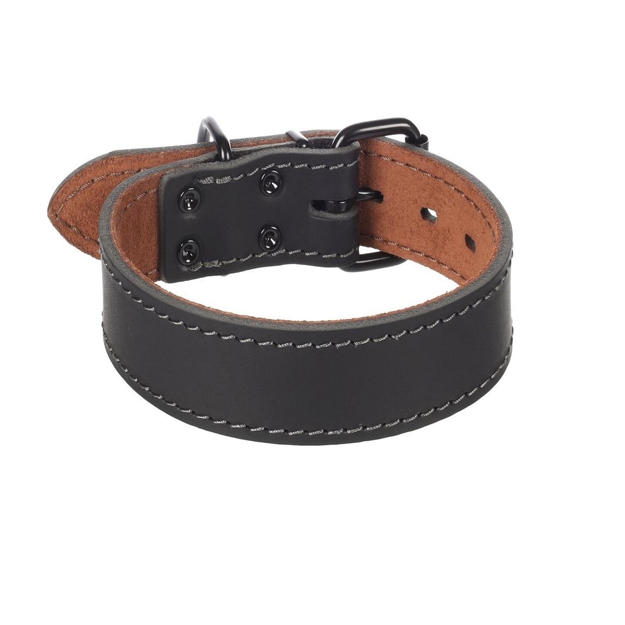 Eden Collier chien montana en cuir. Coloris disponibles : Noir, Marron
