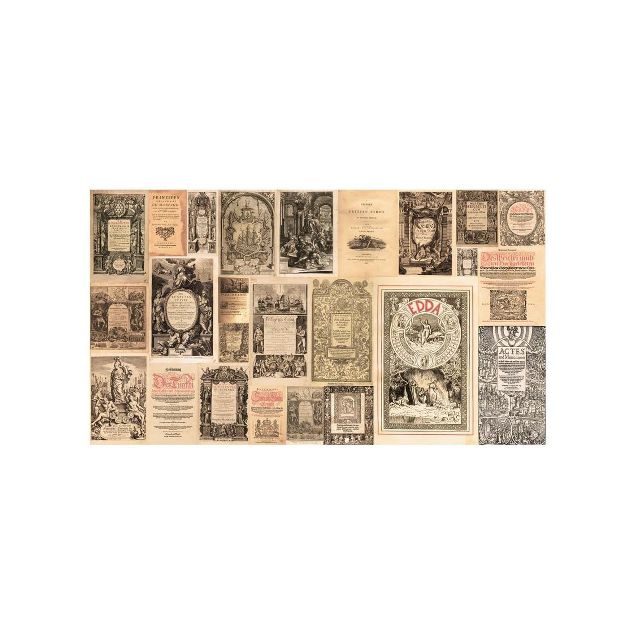 Voir la diapositive 2 : Paris Prix Papier peint xxl  vintage books  280x500cm