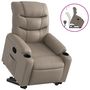 Voir la diapositive 2 : VIDAXL Fauteuil inclinable Cappuccino Similicuir