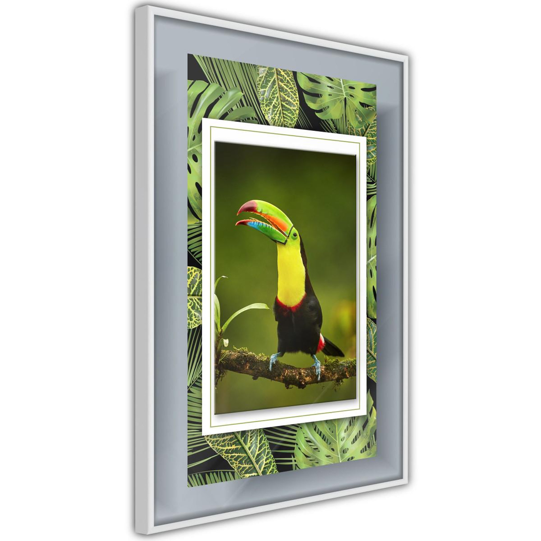 Paris Prix Affiche murale encadrée  toucan in the frame