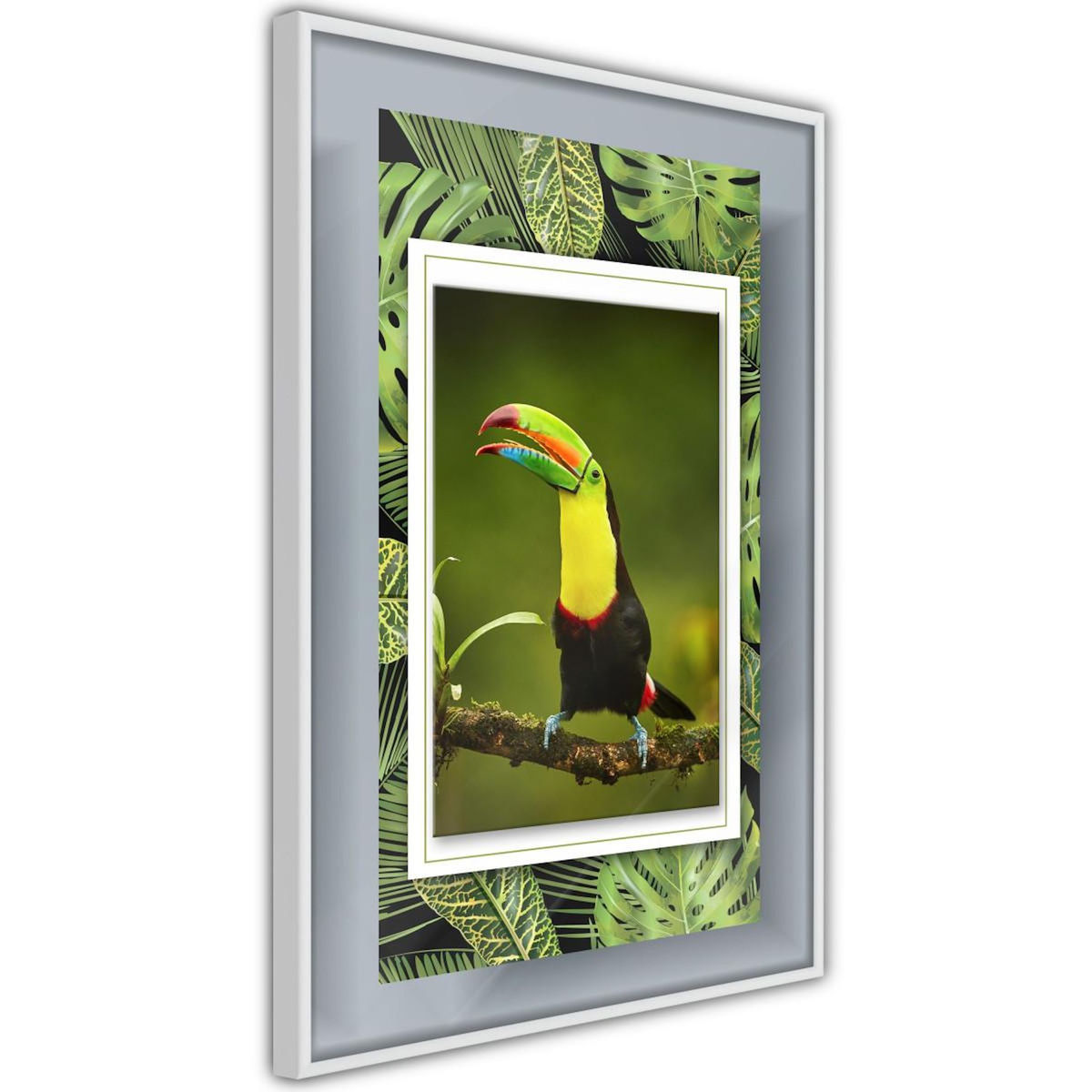 Paris Prix Affiche Murale Encadrée  Toucan in the Frame