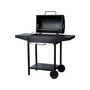 Voir la diapositive 3 : Habitat et Jardin Barbecue charbon de bois  Bizon  - 119 x 50 x 101 cm - Noir