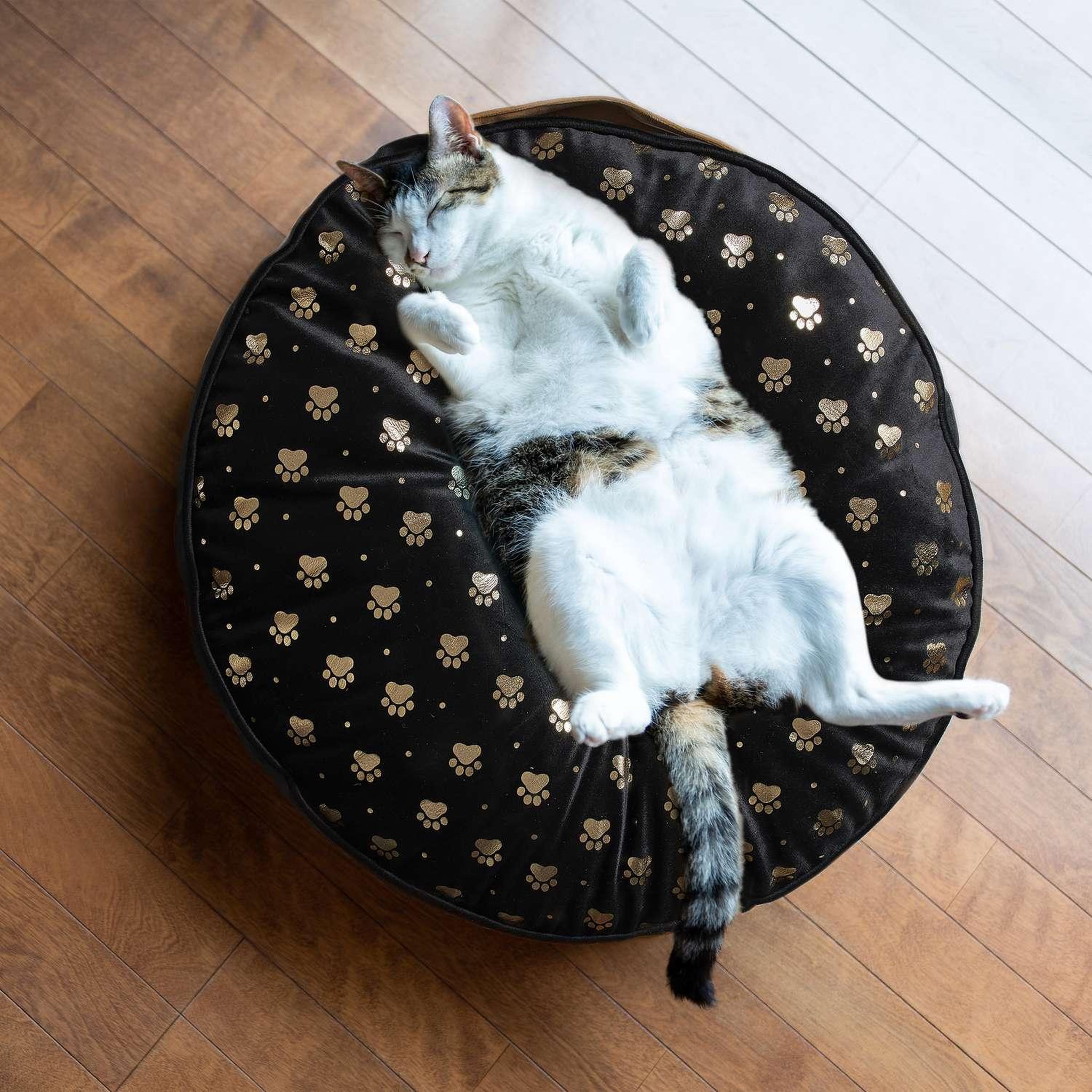 Voir la diapositive 2 : The concept Factory Coussin moelleux tigrou pour chat et chien