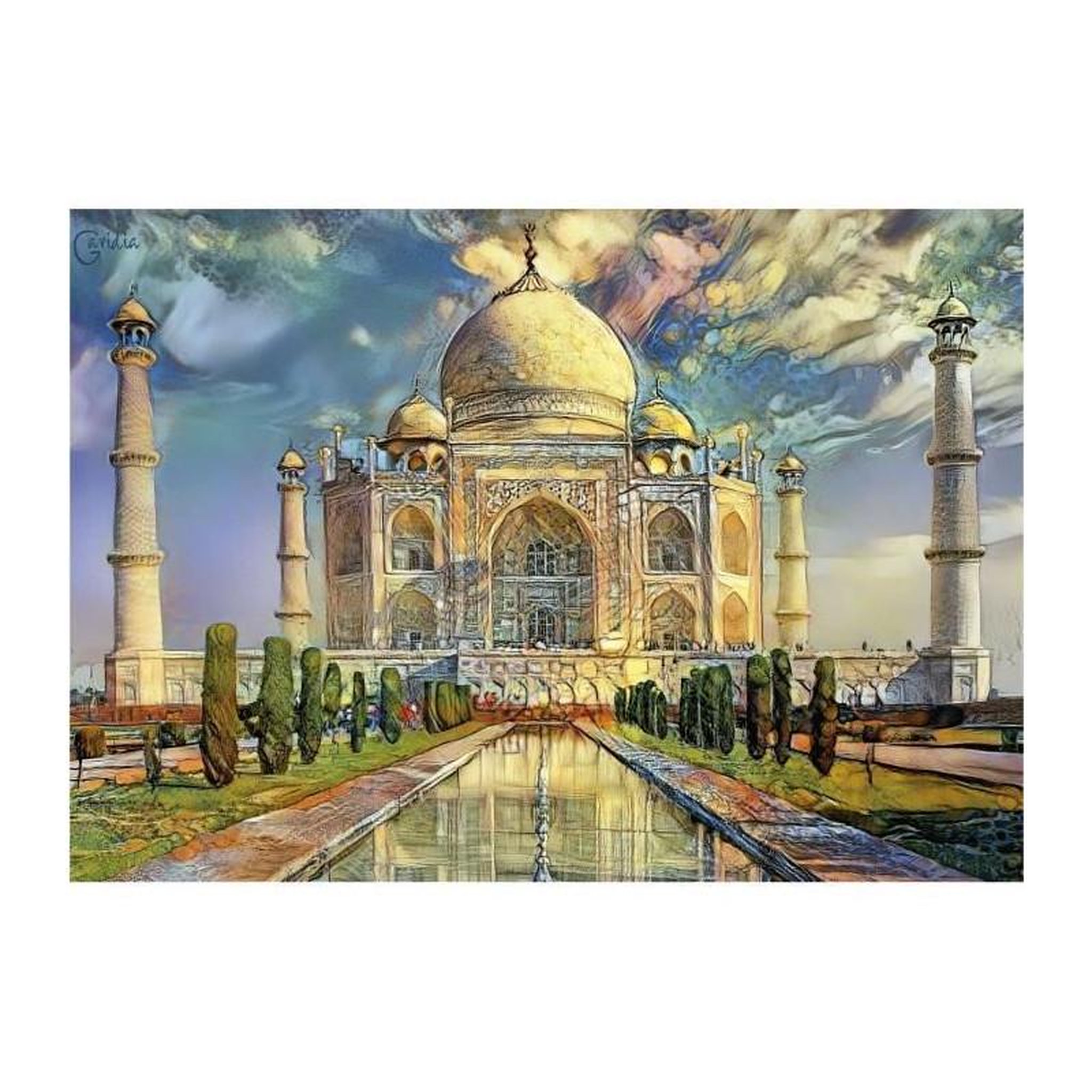 EDUCA TAJ MAHAL - Puzzle de 1000 pieces