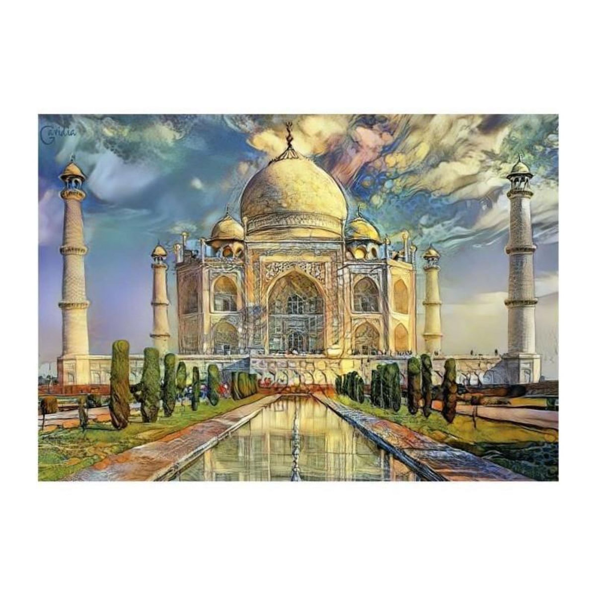 EDUCA TAJ MAHAL - Puzzle de 1000 pieces