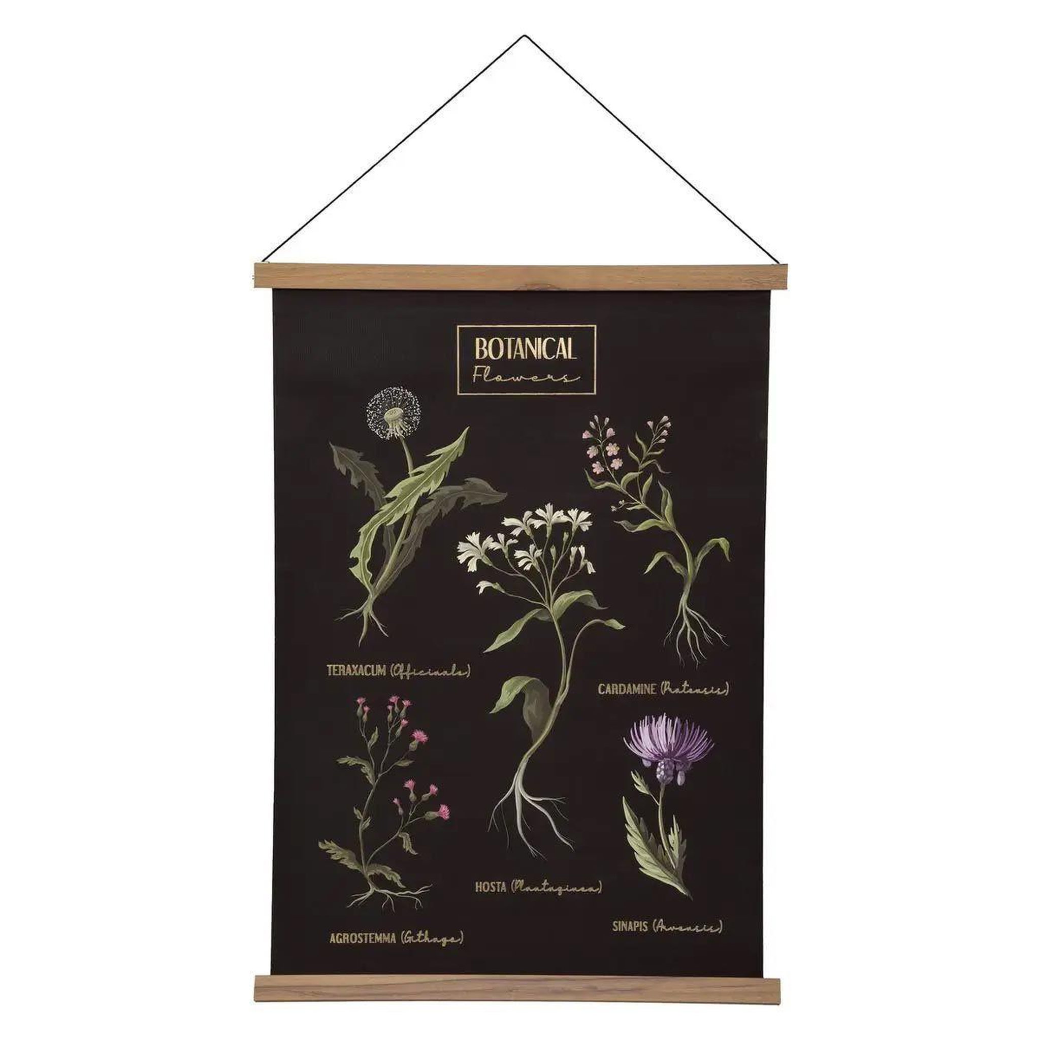 ATMOSPHERA Déco murale à suspendre  midnight garden  50x73cm noir