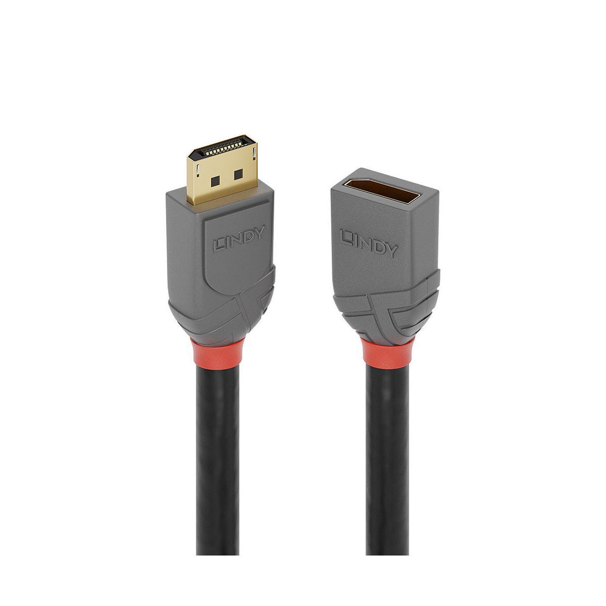 LINDY Lindy 36498 câble displayport 3 m noir