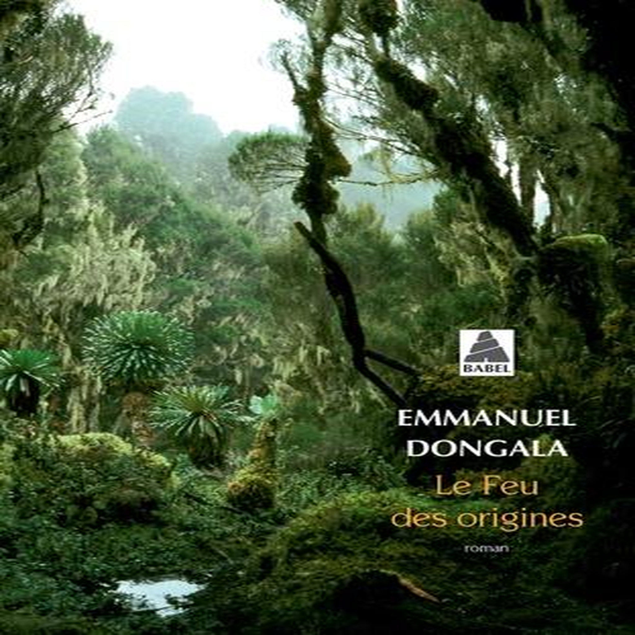 LE FEU DES ORIGINES, Dongala Emmanuel