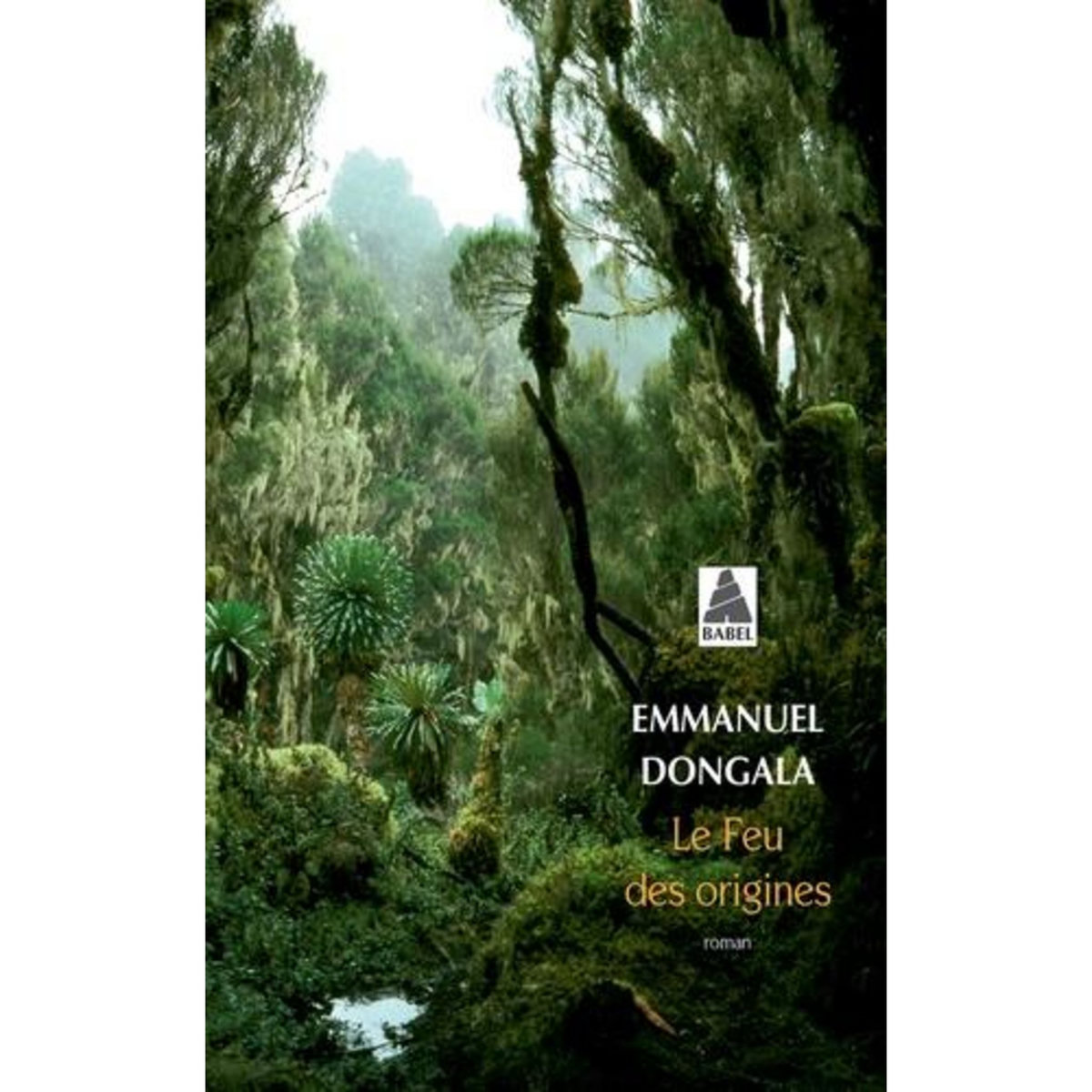 LE FEU DES ORIGINES, Dongala Emmanuel