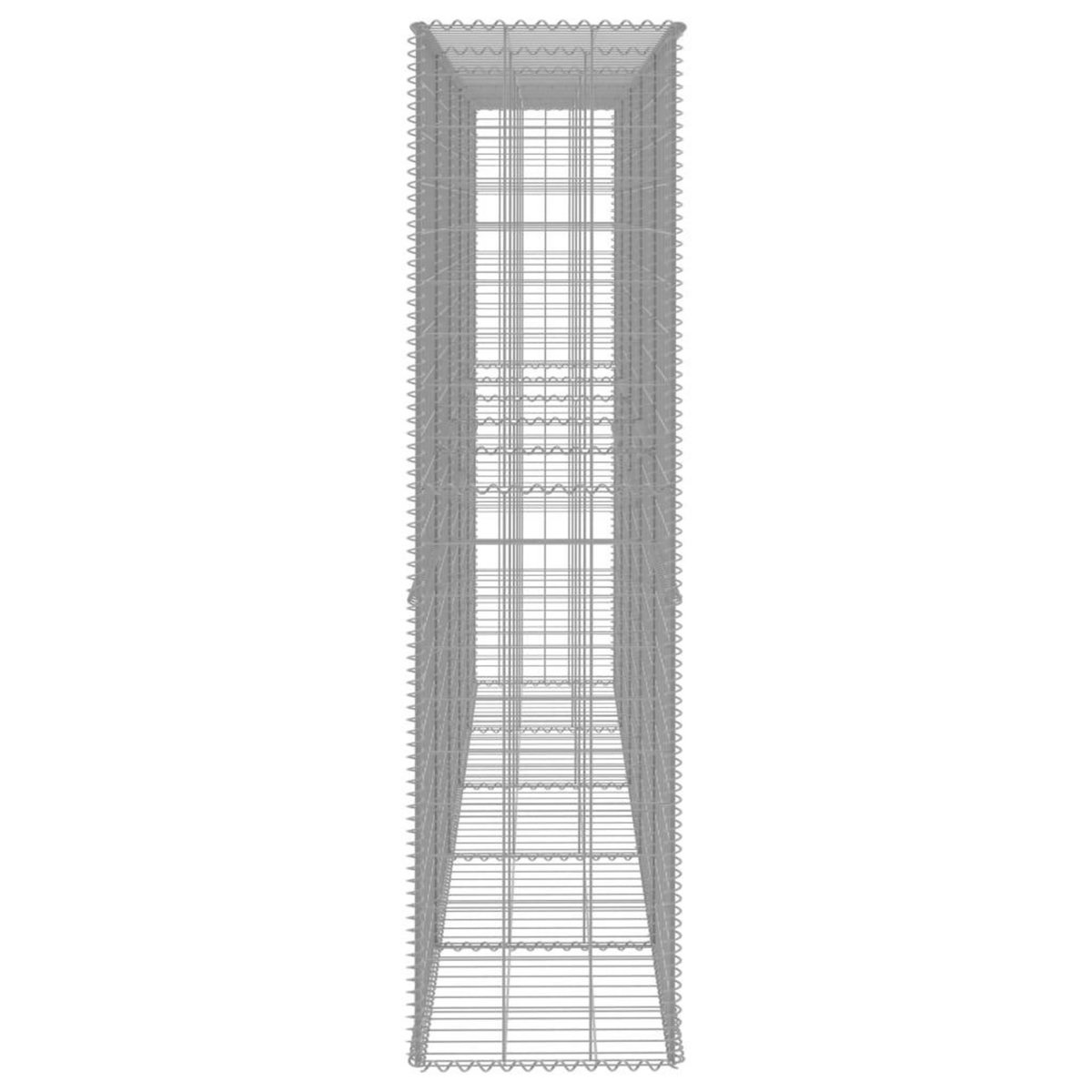 VIDAXL Mur en gabion avec couvercle Acier galvanise 300 x 50 x 200 cm