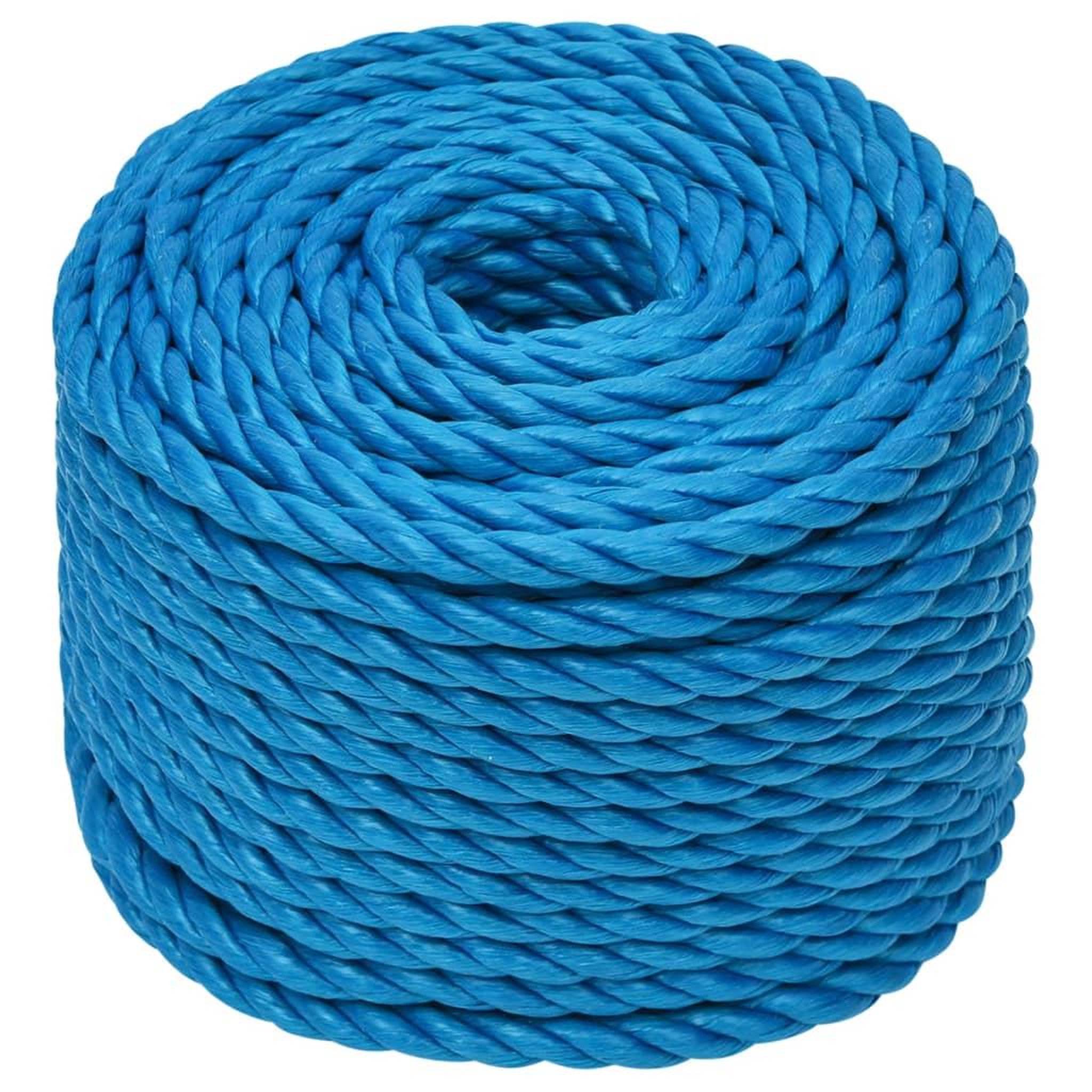 Voir la diapositive 2 : VIDAXL Corde de travail Bleu 24 mm 50 m polypropylene