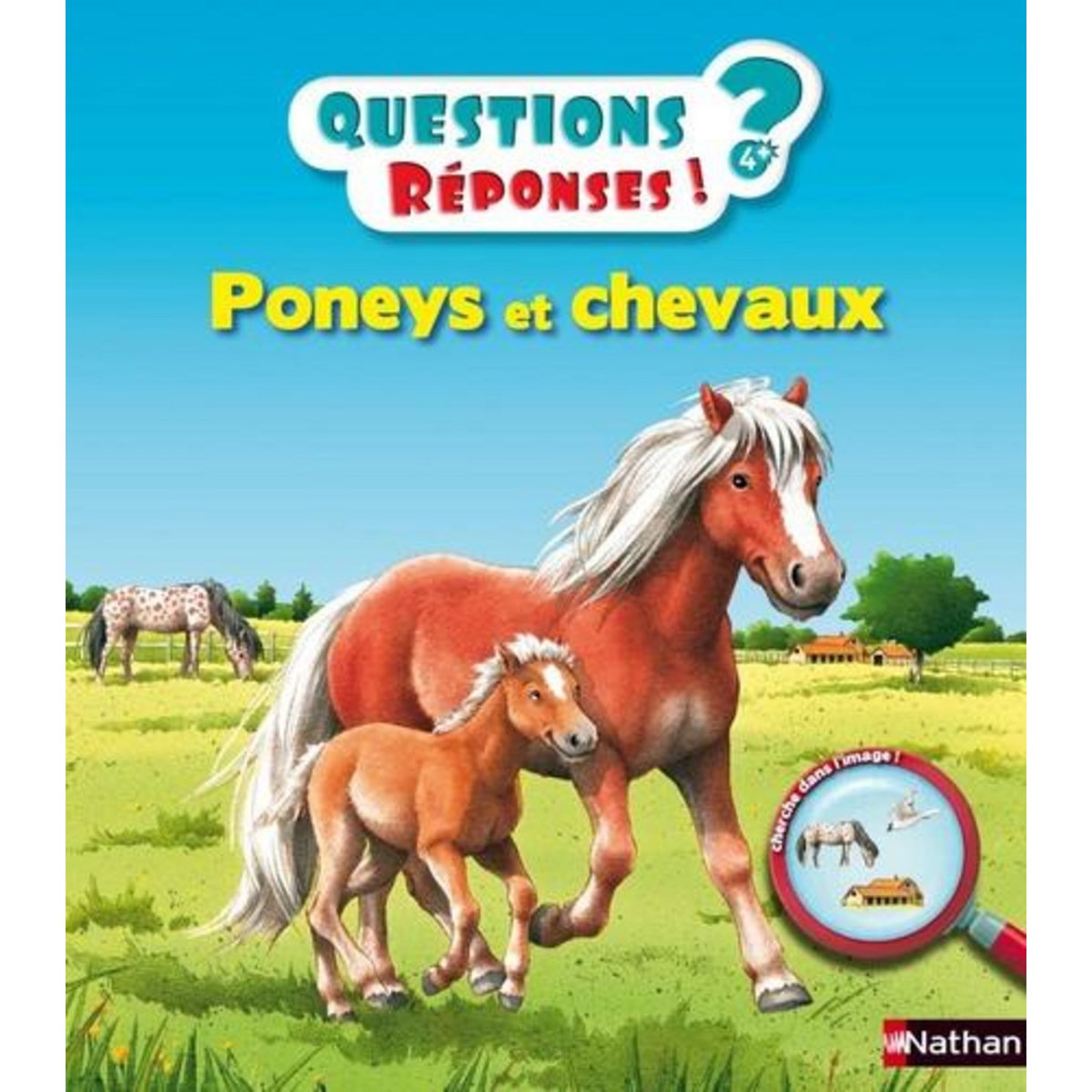 PONEYS ET CHEVAUX, Baumann Anne-Sophie
