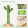 PAWHUT Griffoir chat design cactus - jouet pompon suspendu, jouet boules - bois de pin sisal vert