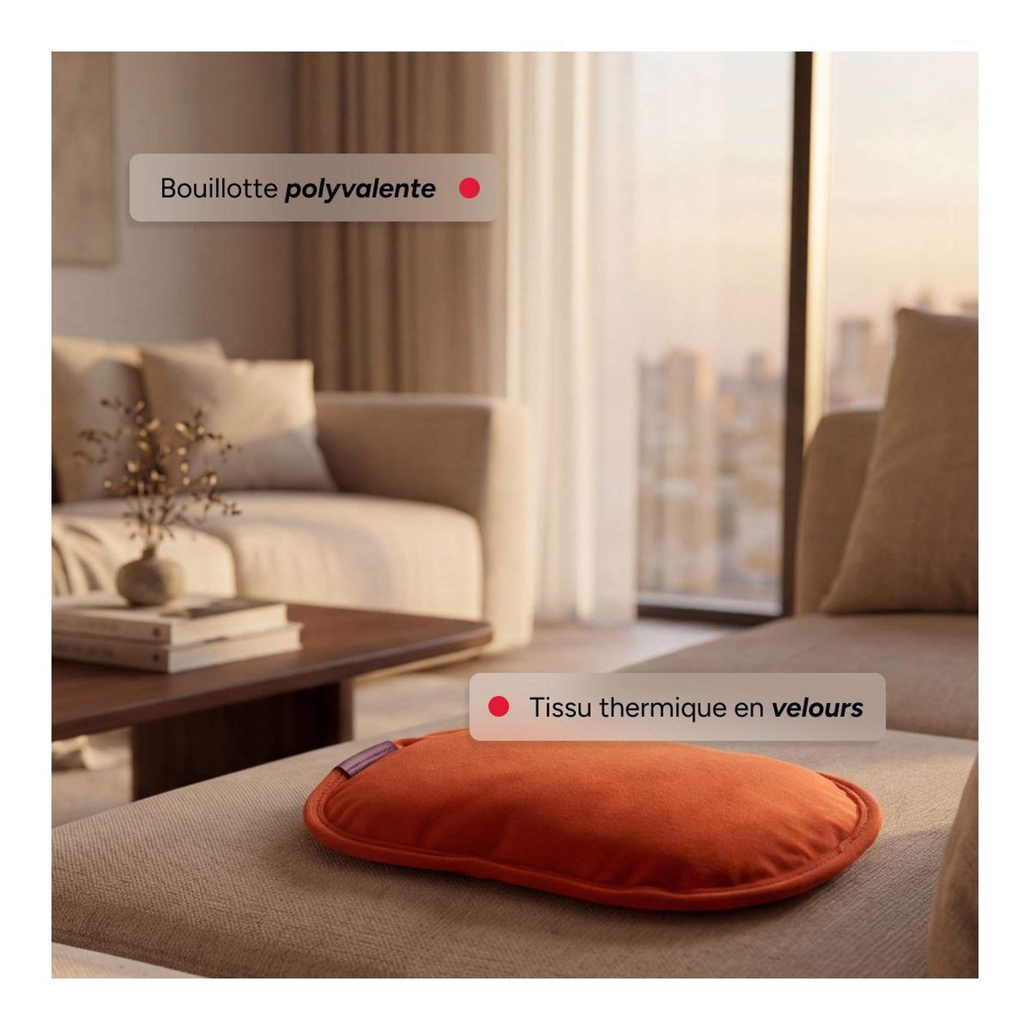 Voir la diapositive 3 : Terraillon Bouillotte Electrique Sunset