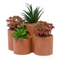 Voir la diapositive 1 : ATMOSPHERA Plantes Grasses Artificielles en Pot  Wonj  22cm Terracotta