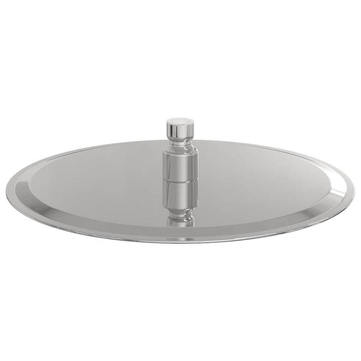 VIDAXL Pomme de douche pluie acier inoxydable 304 25 cm ronde