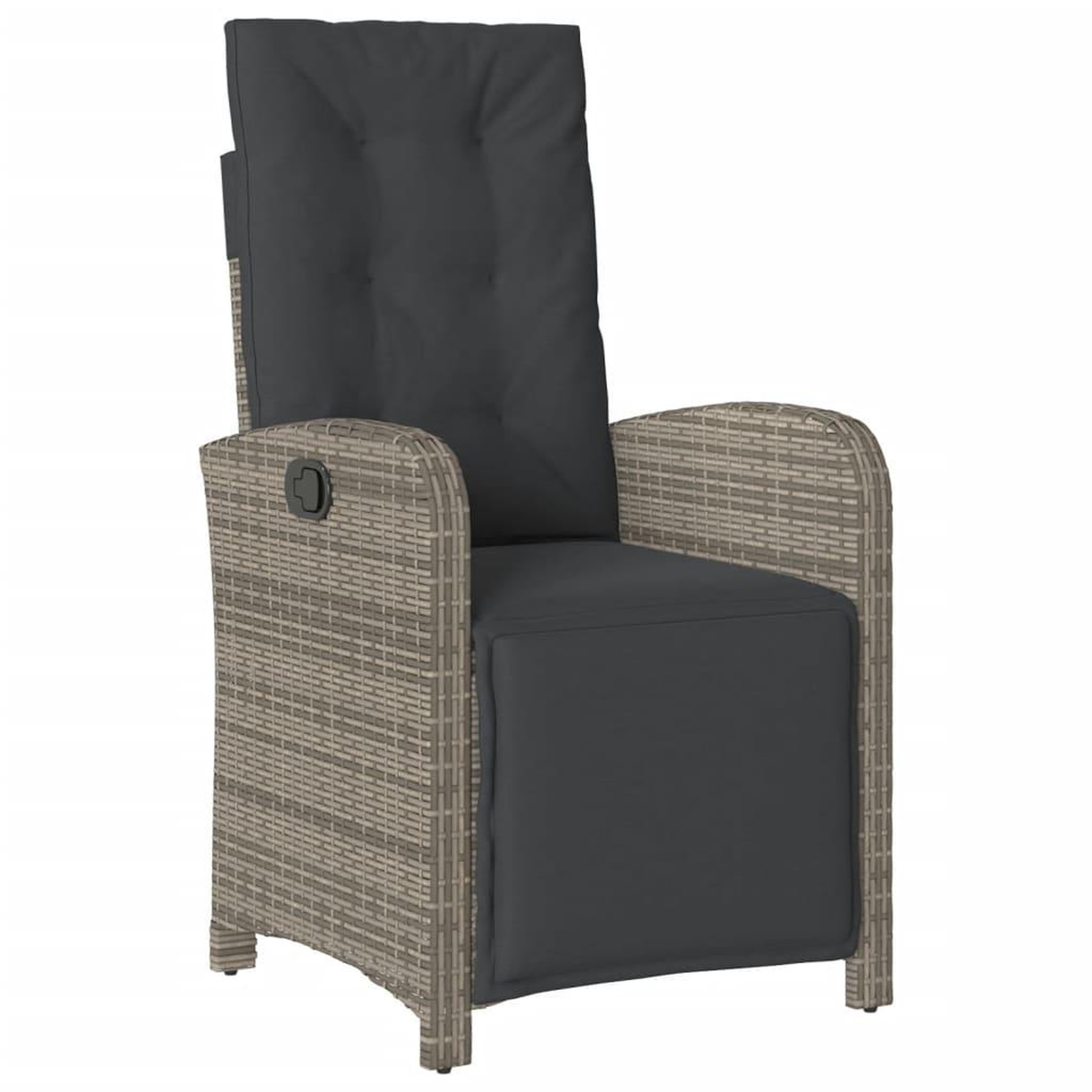 Voir la diapositive 3 : VIDAXL Ensemble a manger de jardin 9 pcs coussins gris resine tressee