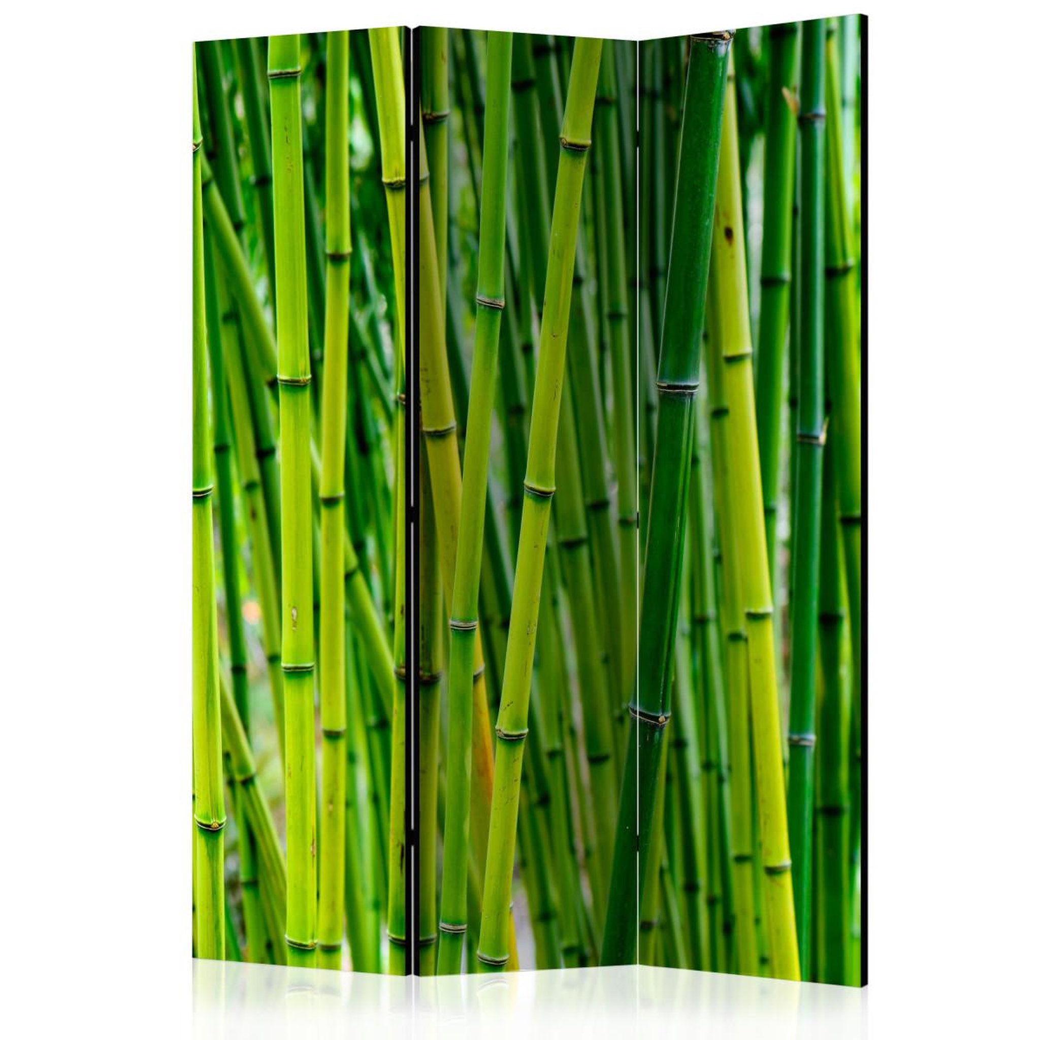 Paris Prix Paravent 3 volets  bamboo forest  135x172cm