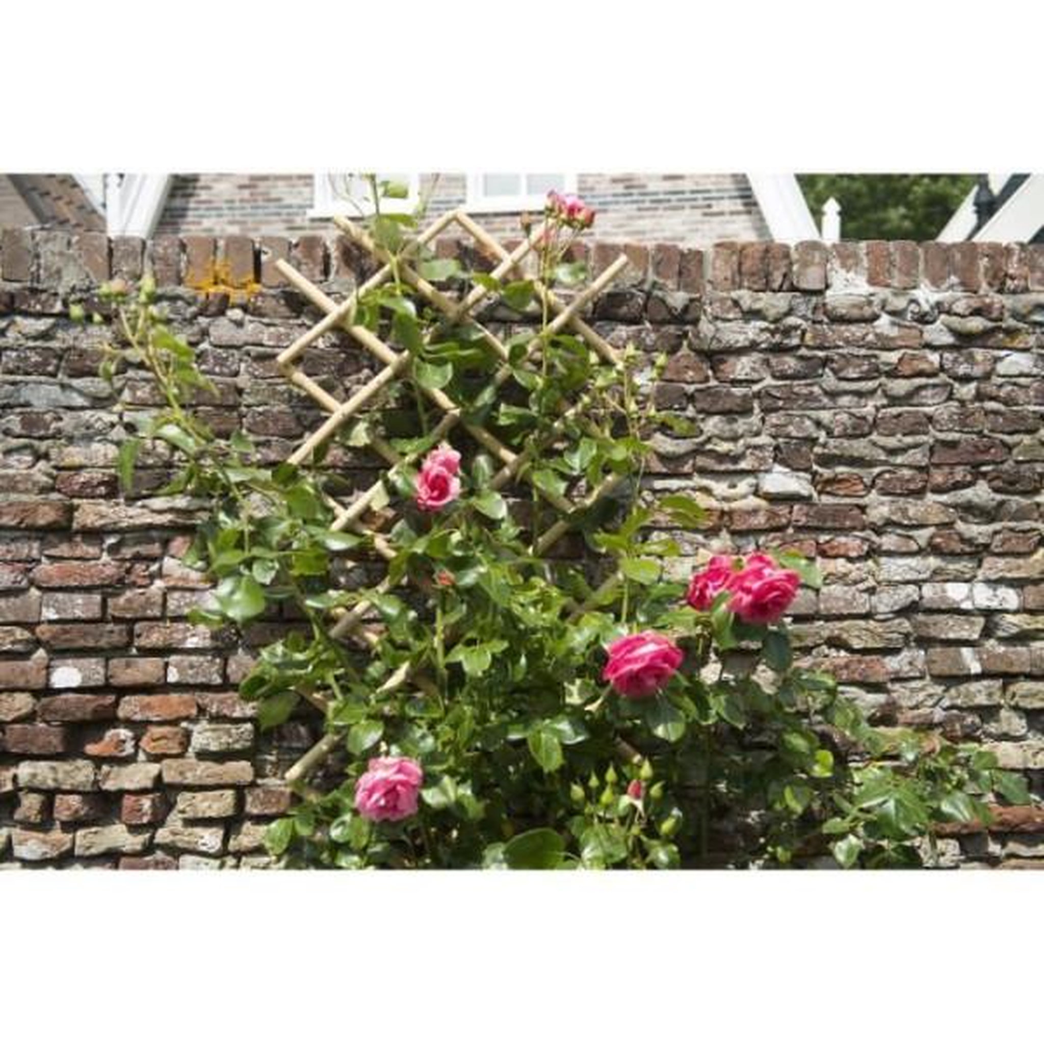 Voir la diapositive 2 : NATURE Treillis extensible - NATURE - En bambou - 45 x 180 cm