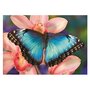DINO Puzzle 500 pièces : Papillon