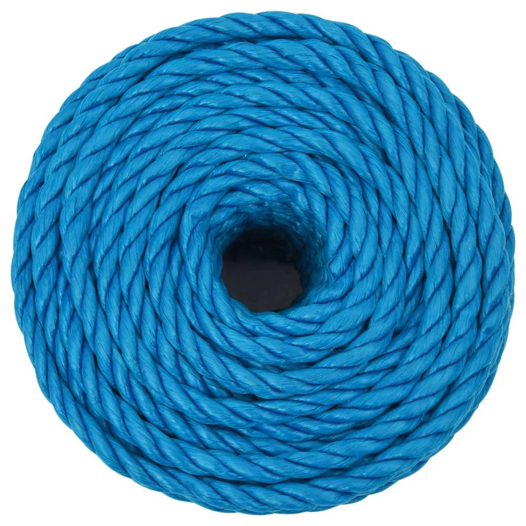 Voir la diapositive 3 : VIDAXL Corde de travail Bleu 24 mm 50 m polypropylene