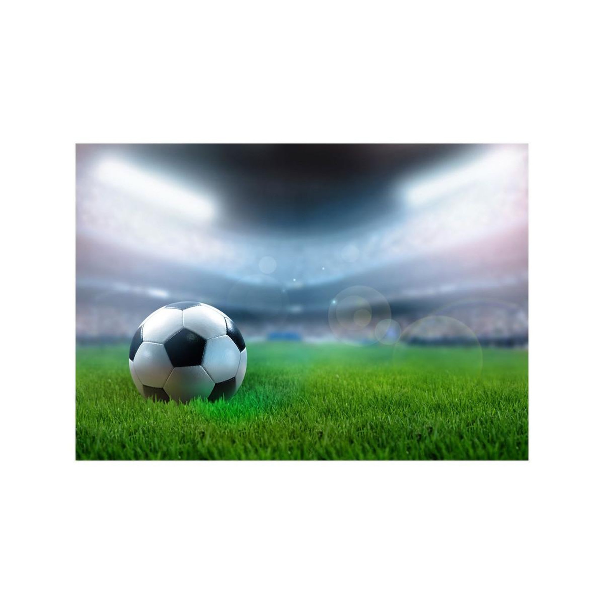 Voir la diapositive 2 : Paris Prix Papier peint  world championship