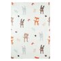 Voir la diapositive 1 : SWEEEK Tapis intérieur enfant blanc imprimé animaux thème automnal - Ravon