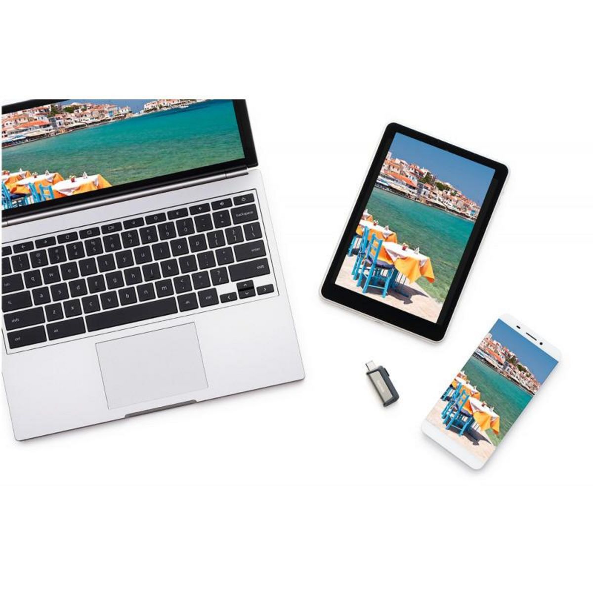 SANDISK Clé USB 256Go Ultra dual drive type C