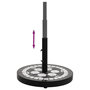 Voir la diapositive 4 : VIDAXL Base de parasol noir et blanc rond 12 kg