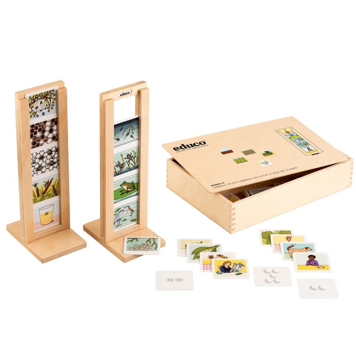EDUCO Nature - Cycle de la vie - bois - jeu Montessori
