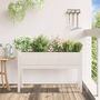 Voir la diapositive 3 : VIDAXL Jardinieres avec pieds blanc 110x31x70 cm bois de pin massif