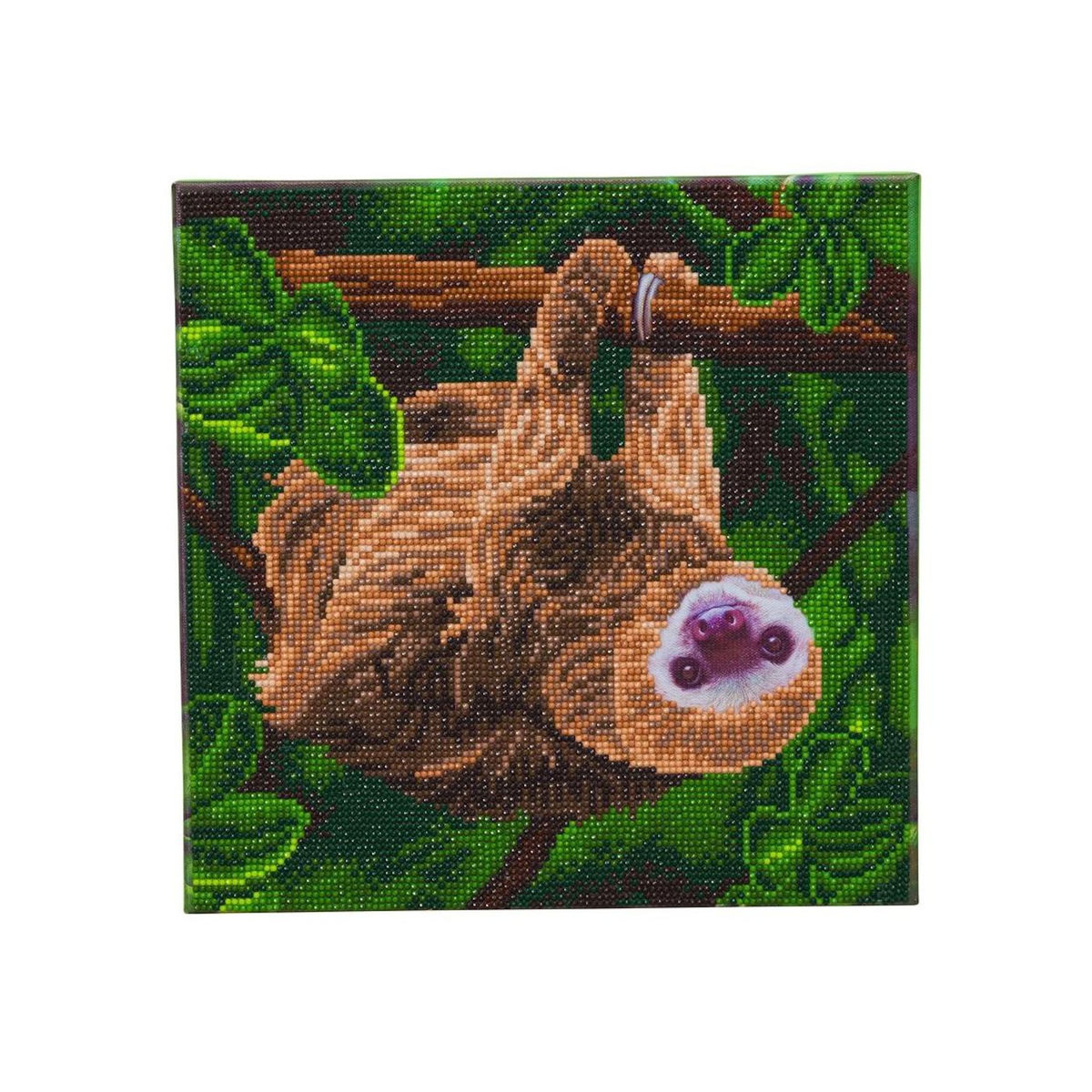 Oz International Kit tableau diamant 30x30cm Paresseux