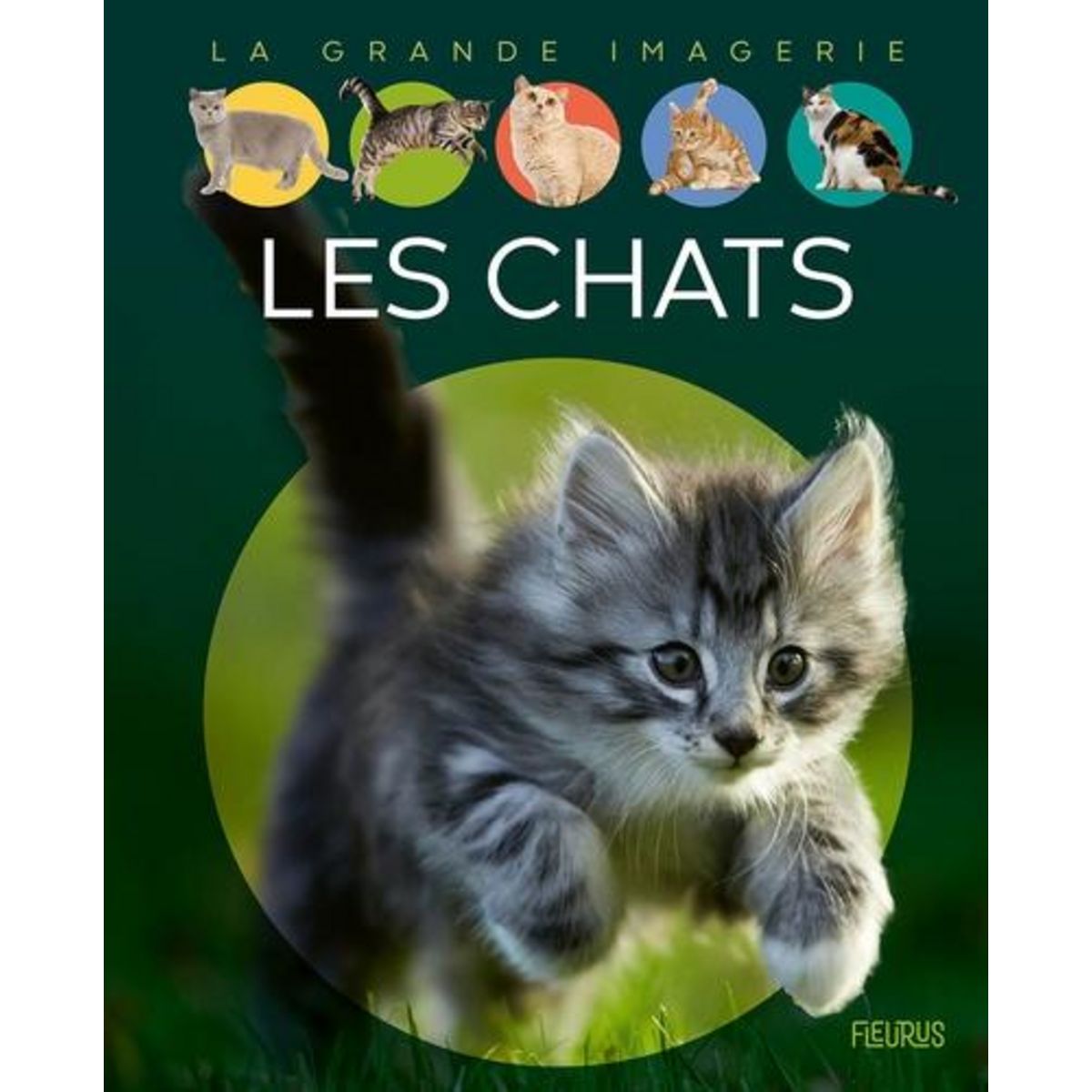 LES CHATS, Vandewiele Agnès