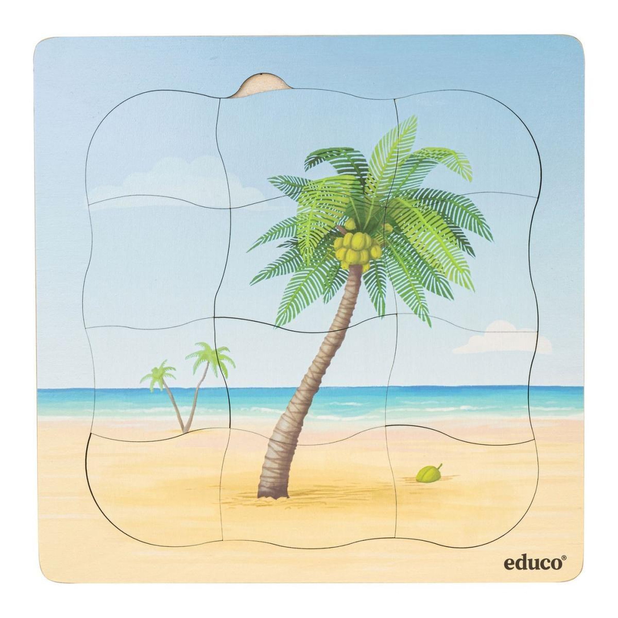 Voir la diapositive 3 : EDUCO Sur la plage - le cocotier pousse — 31 pièces de puzzle
